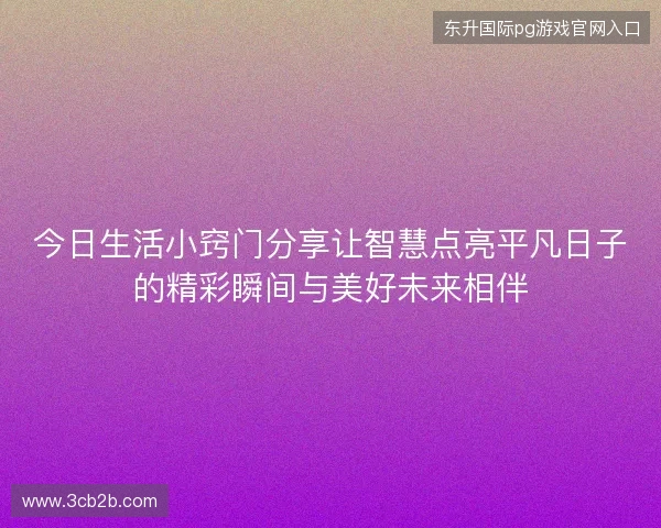 今日生活小窍门分享让智慧点亮平凡日子的精彩瞬间与美好未来相伴