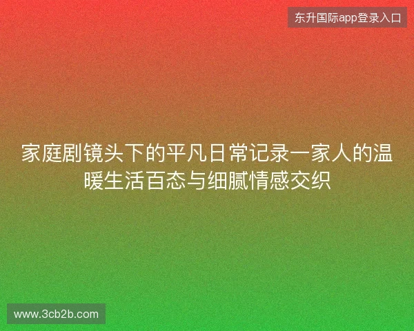 家庭剧镜头下的平凡日常记录一家人的温暖生活百态与细腻情感交织