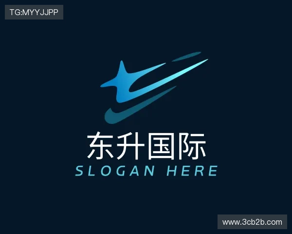 关于东升国际注册